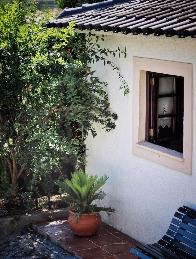 Quinta Do Regalo Βίλα Κοΐμπρα Εξωτερικό φωτογραφία