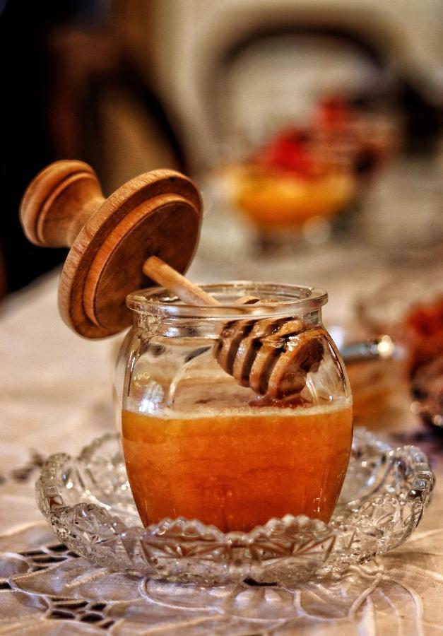 Quinta Do Regalo Βίλα Κοΐμπρα Εξωτερικό φωτογραφία