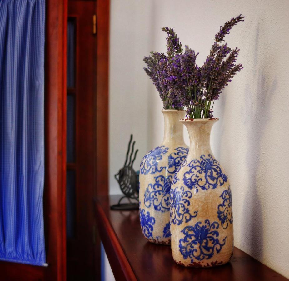 Quinta Do Regalo Βίλα Κοΐμπρα Εξωτερικό φωτογραφία