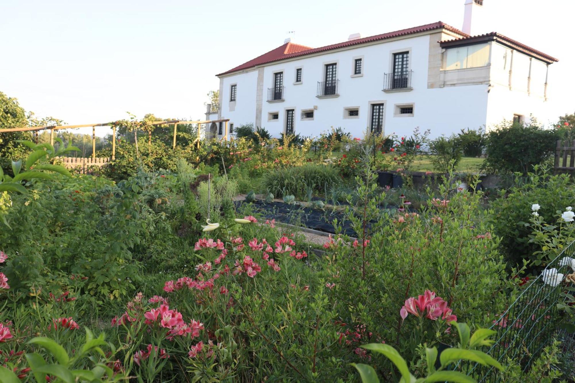 Quinta Do Regalo Βίλα Κοΐμπρα Εξωτερικό φωτογραφία